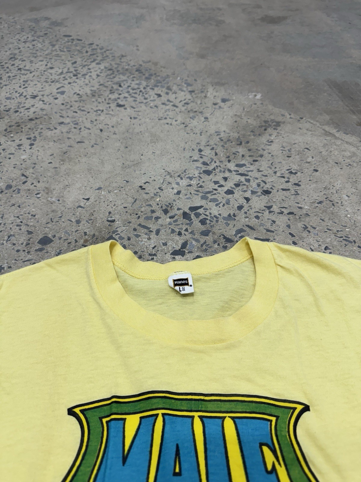 Vintage 70s Male Chauvinist Pig Graphic Tee Rare Roach Studios L Single Stitch gallery