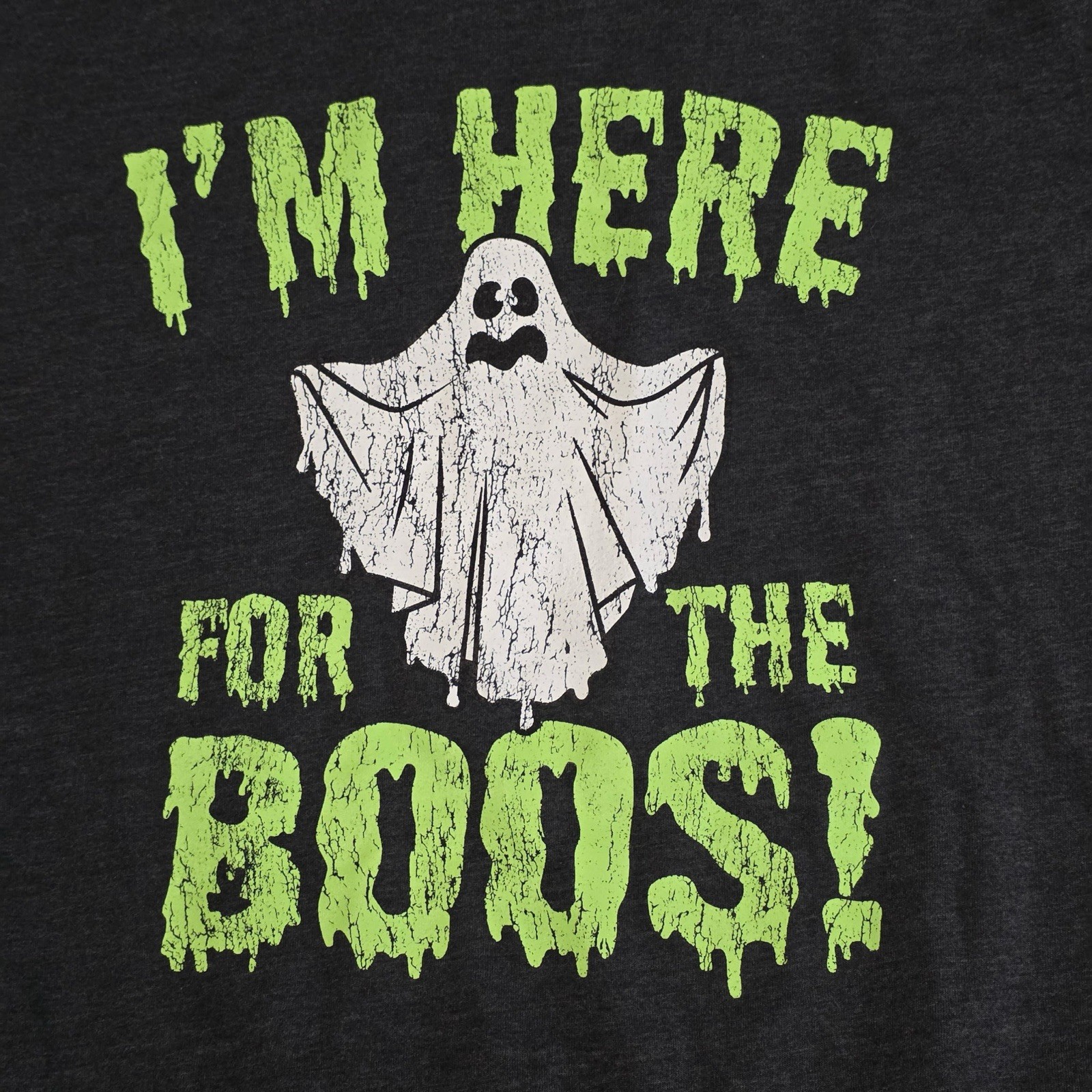 Celebrate Halloween ‘I’m Here for the Boos!’ Ghost Dark Grey Tee, Large