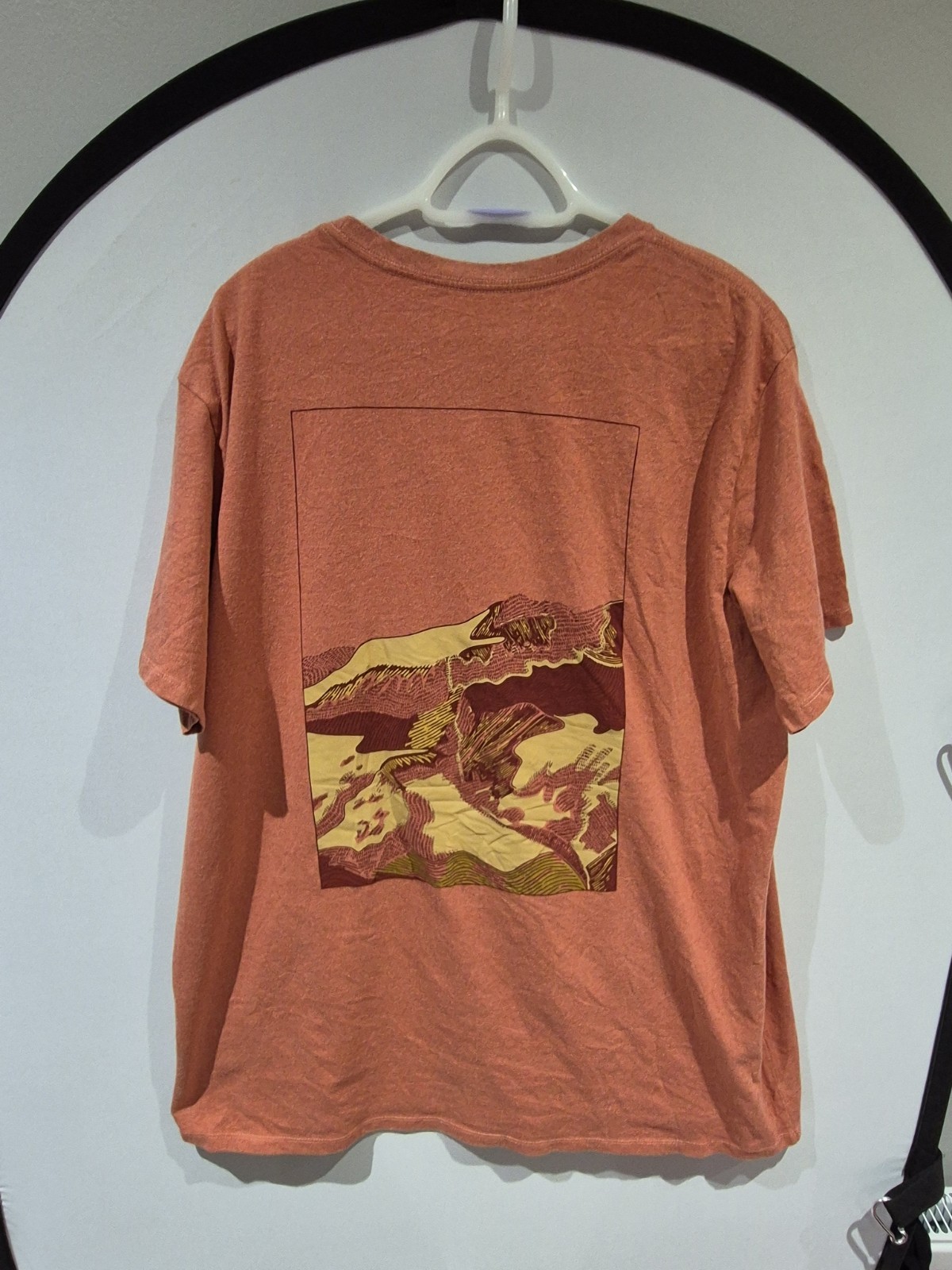 MENS PATAGONIA 73 SKYLINE ORGANIC T-SHIRT SIZE XXL gallery