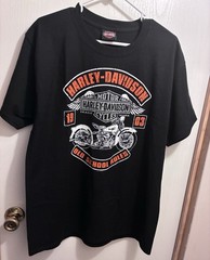 HARLEY DAVIDSON Old School Rules Thunder In The Smokies Black T Shirt Large