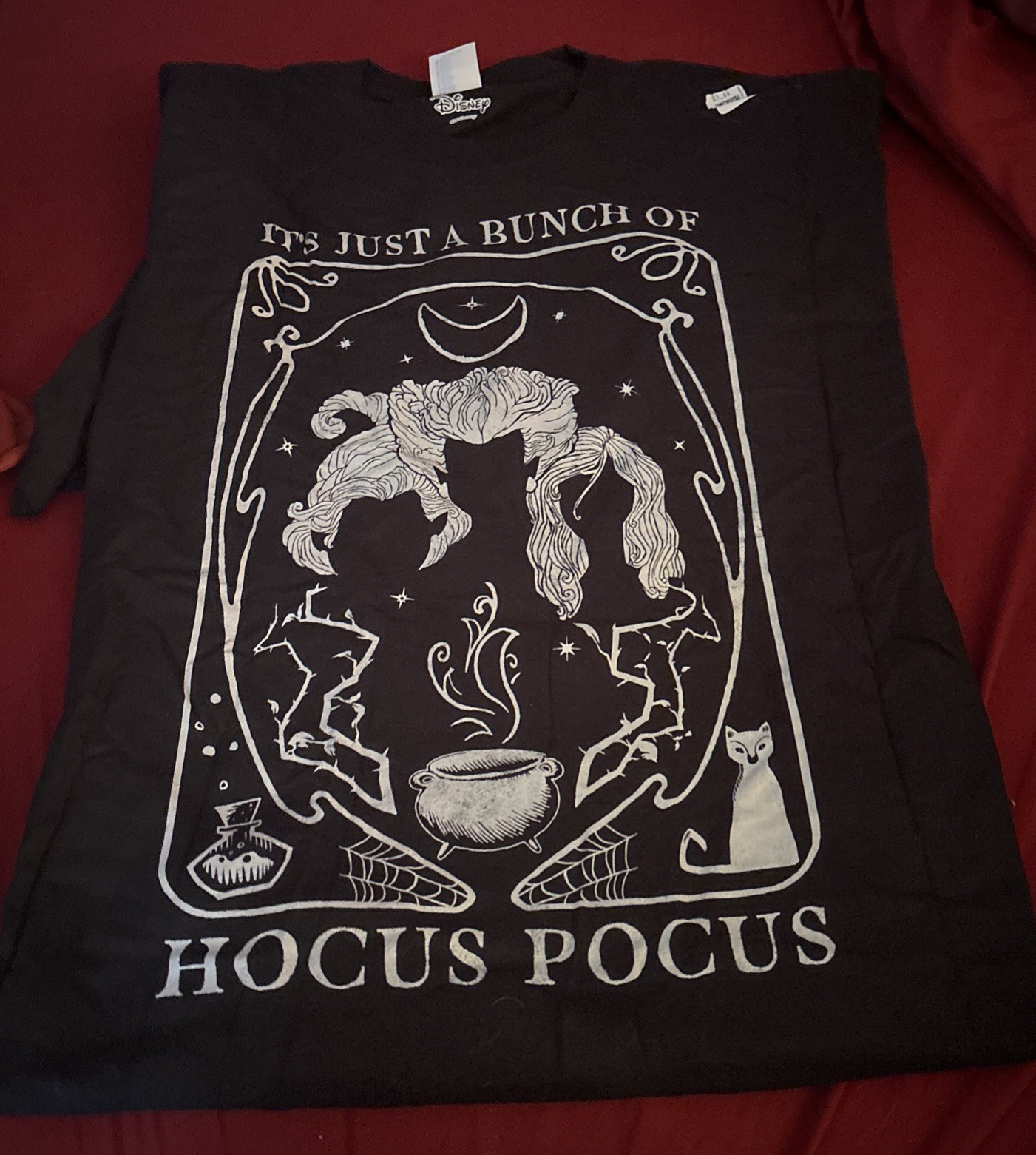 It’s All Just A Bunch Of Hocus Pocus T-Shirt – Adult Male Size 2X – Black