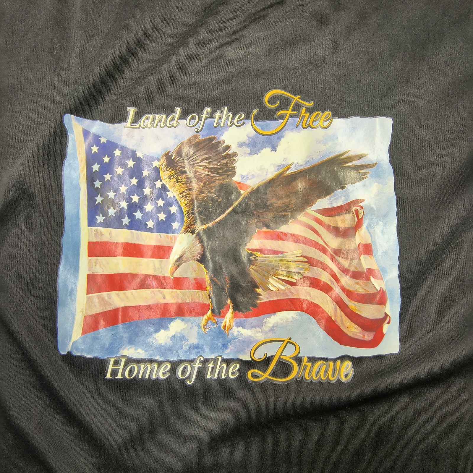 Disabled Veterans Foundation Land of the Free Home of the Brave Shirt L Kirk gallery