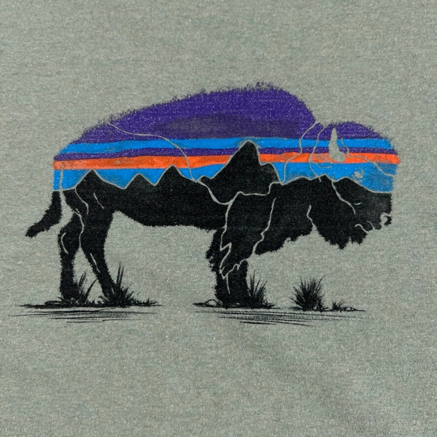 Patagonia Shirt Men Small Bison Responsibili Tee Graphic Work Party Gym Core Ex gallery