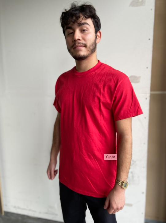 AAA Alstyle Mens Red Short Sleeves Tee Blank T-Shirt Casual T Shirt - 1301 gallery