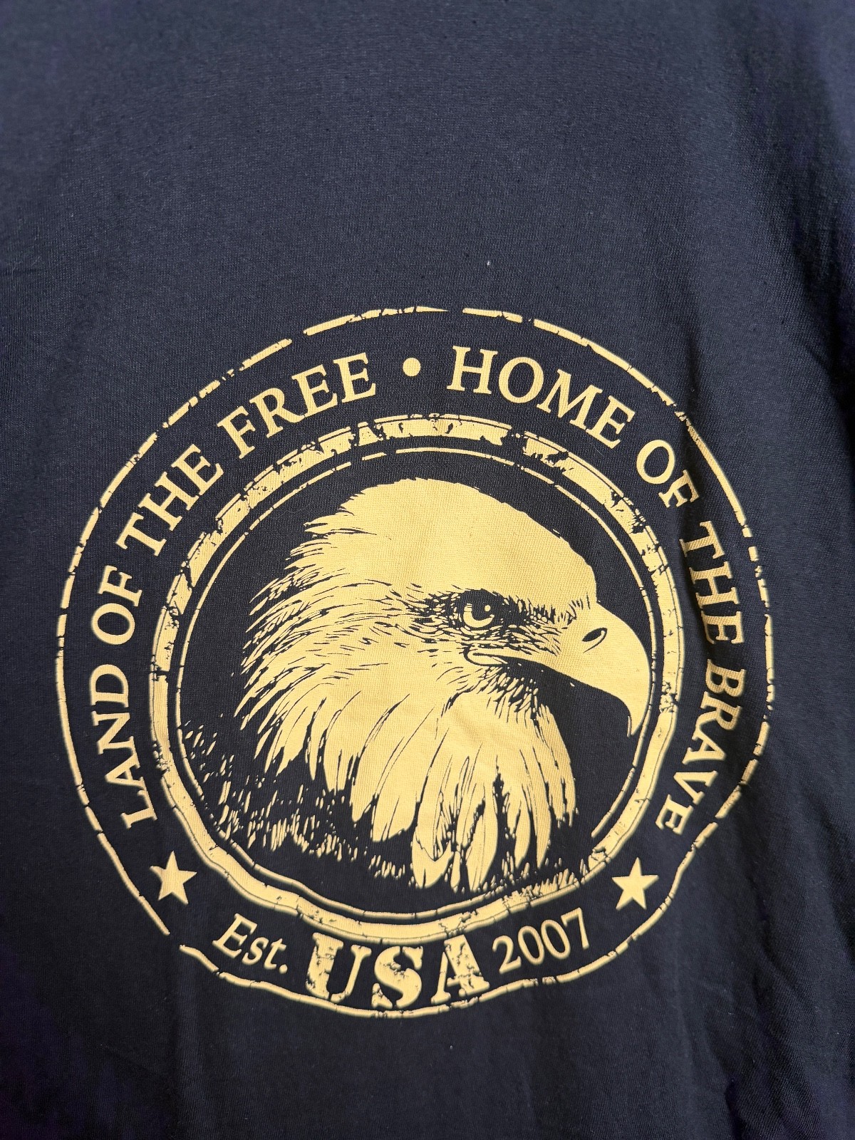Patriotic Black t shirt Land of the free home of the brave eagle and USA flag L gallery