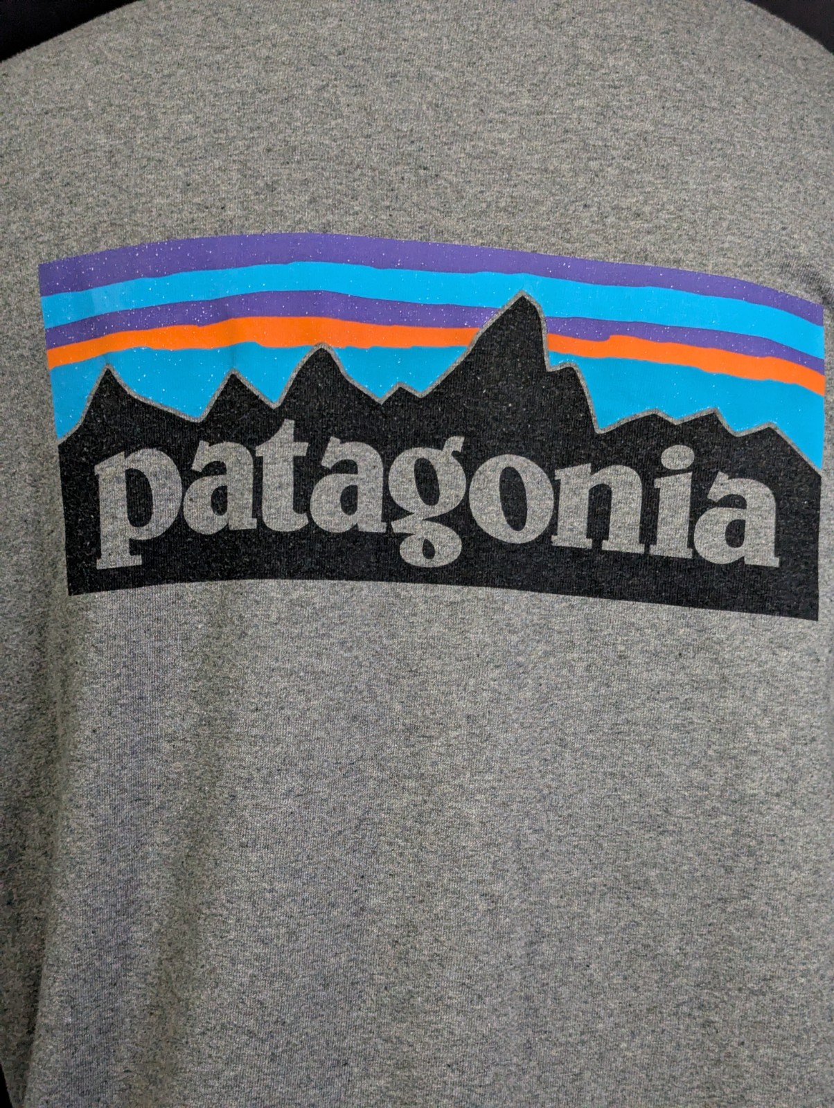 Men Patagonia Classic Logo Gray T-Shirt Short Sleeve Size XL gallery