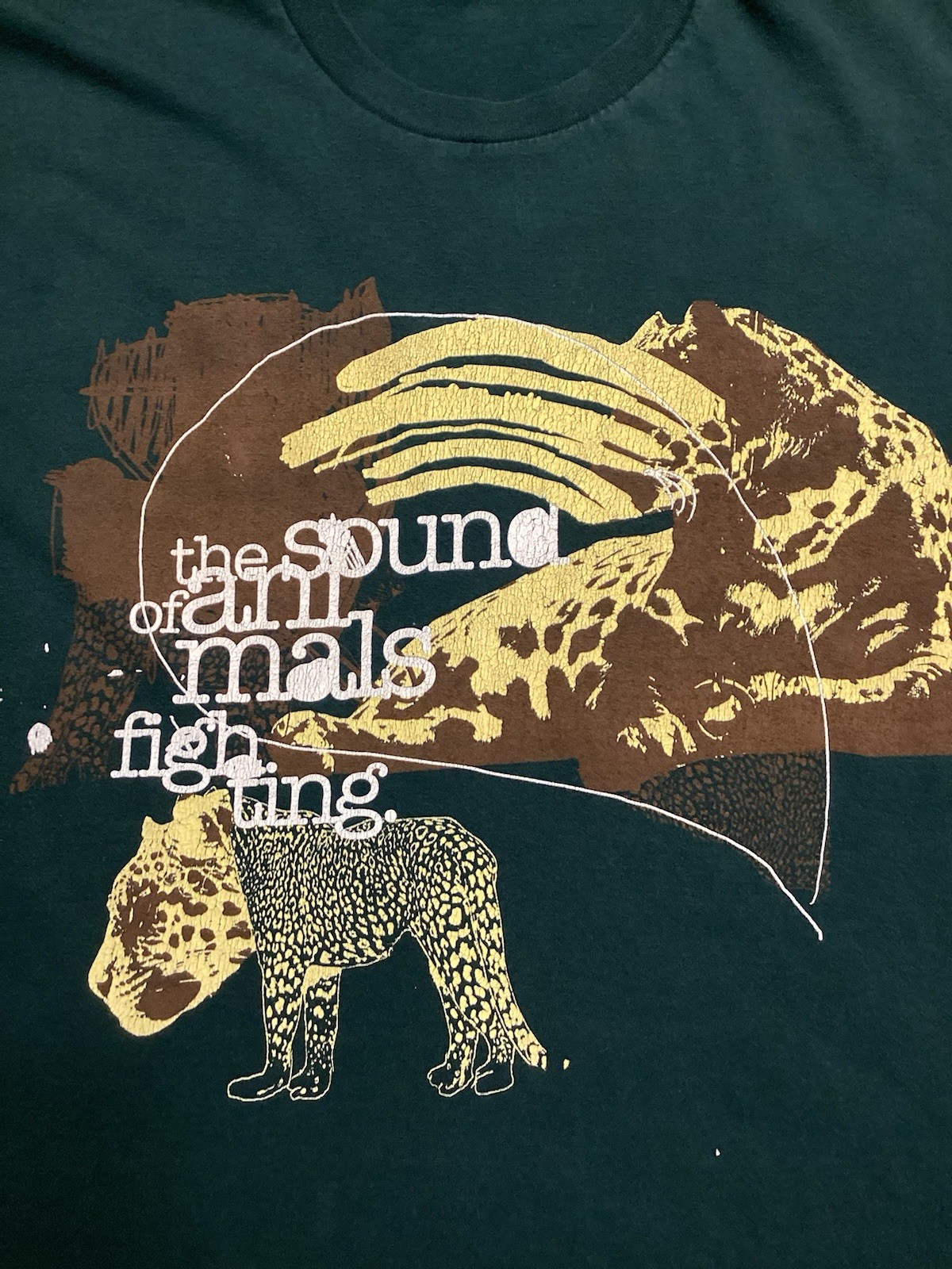Vintage Y2K The Sound Of Animals Fighting Shirt Size XL Green Rx Bandits gallery