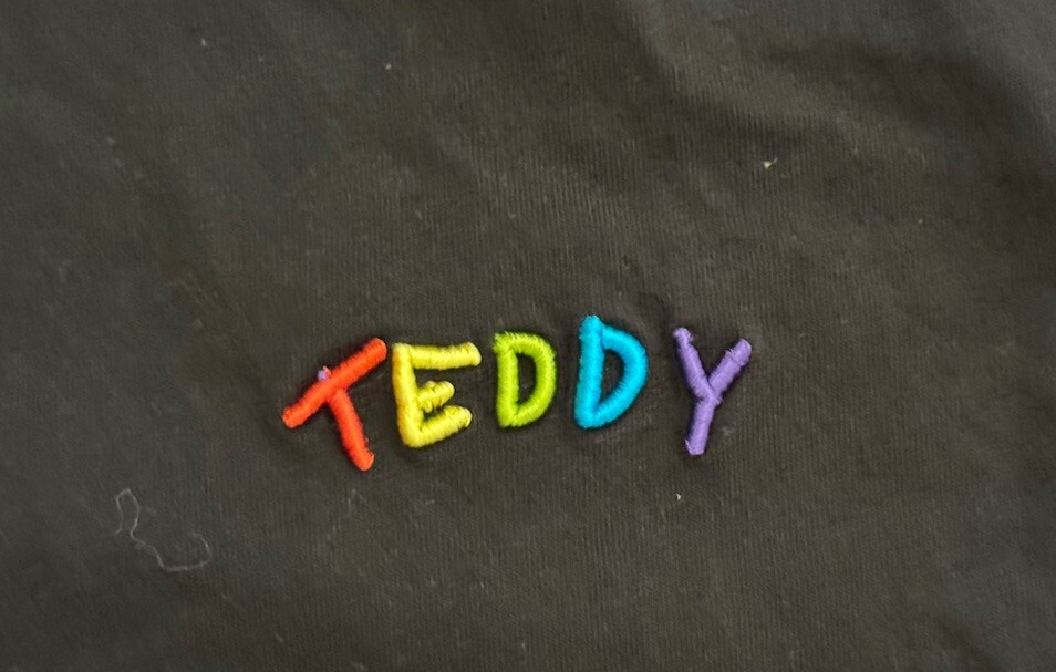Teddy Fresh Graphic T-Shirt Stitched Button Eye Bear Men’s Medium Black gallery
