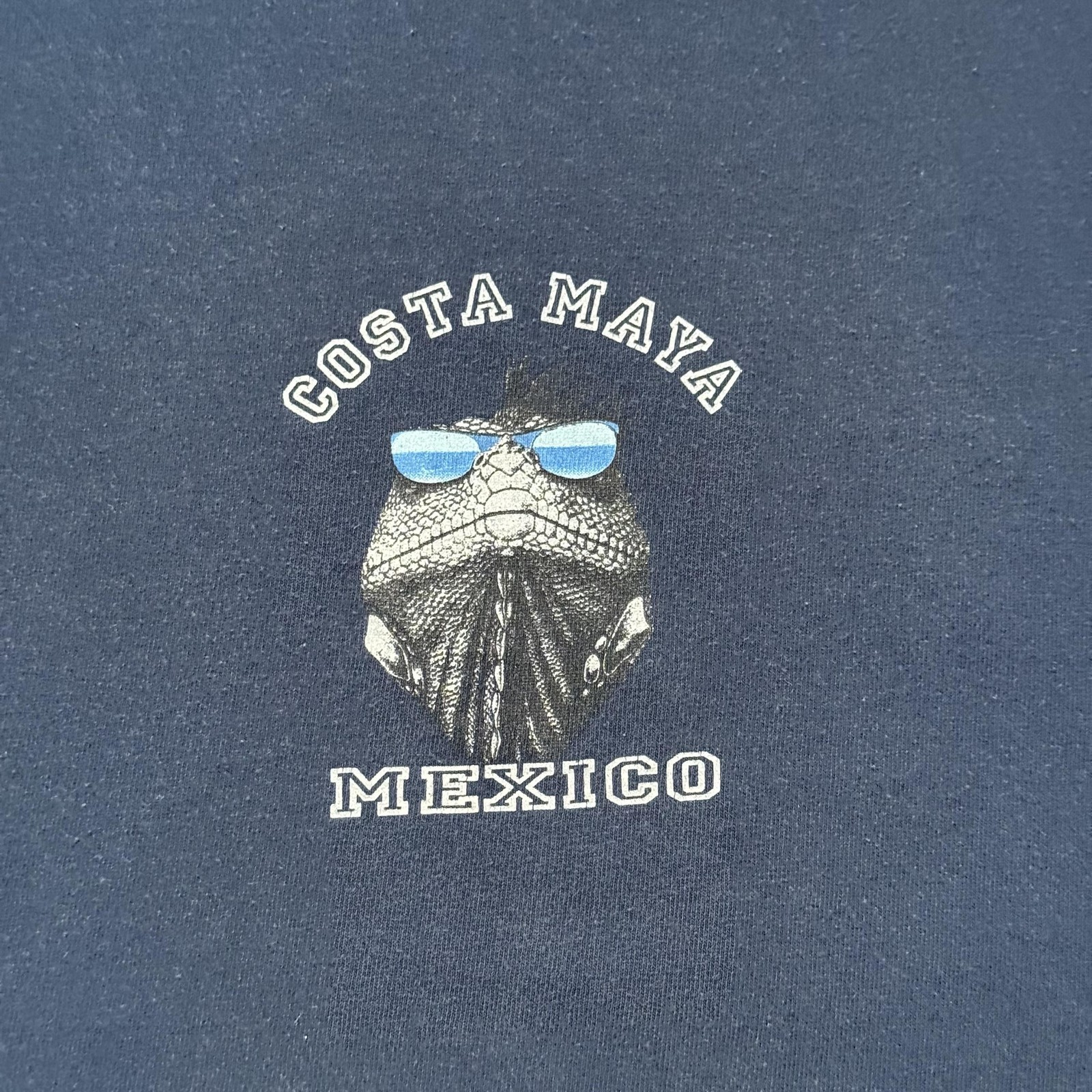 Vintage Costa Maya Mexico Iguana Shirt Mens 2XL Funny Reptile Glasses Surf gallery