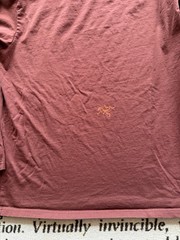 Arc’teryx Arc’Multi Bird Snowboard Ski Climb Longsleeve T-Shirt Mens XL Gorpcore