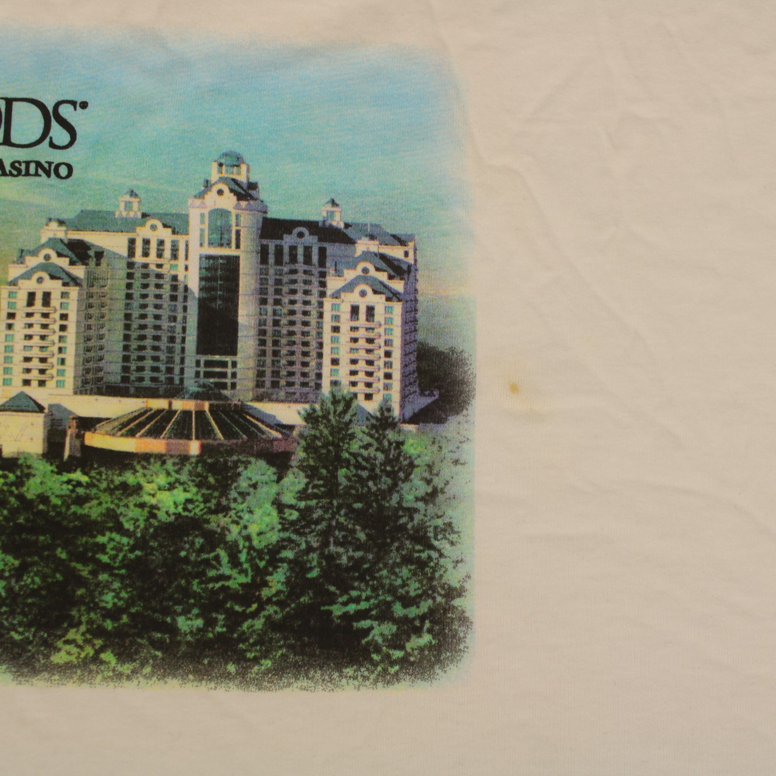 DELTA PRO Vtg 90s FOXWOODS RESORT CASINO Graphic T-SHIRT Men's XL gallery