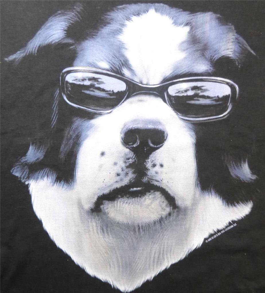 Full Frontal Attitude Big Dogs Black Tee Shirt L XL 2X 3X 4X 5X Sunglasses New
