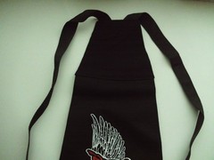 MORRAL DE LIRAN ROLL, HARAGAN EL TRI INTERPUESTO BANDA BOSTIK ROCK URBANO SUR 16