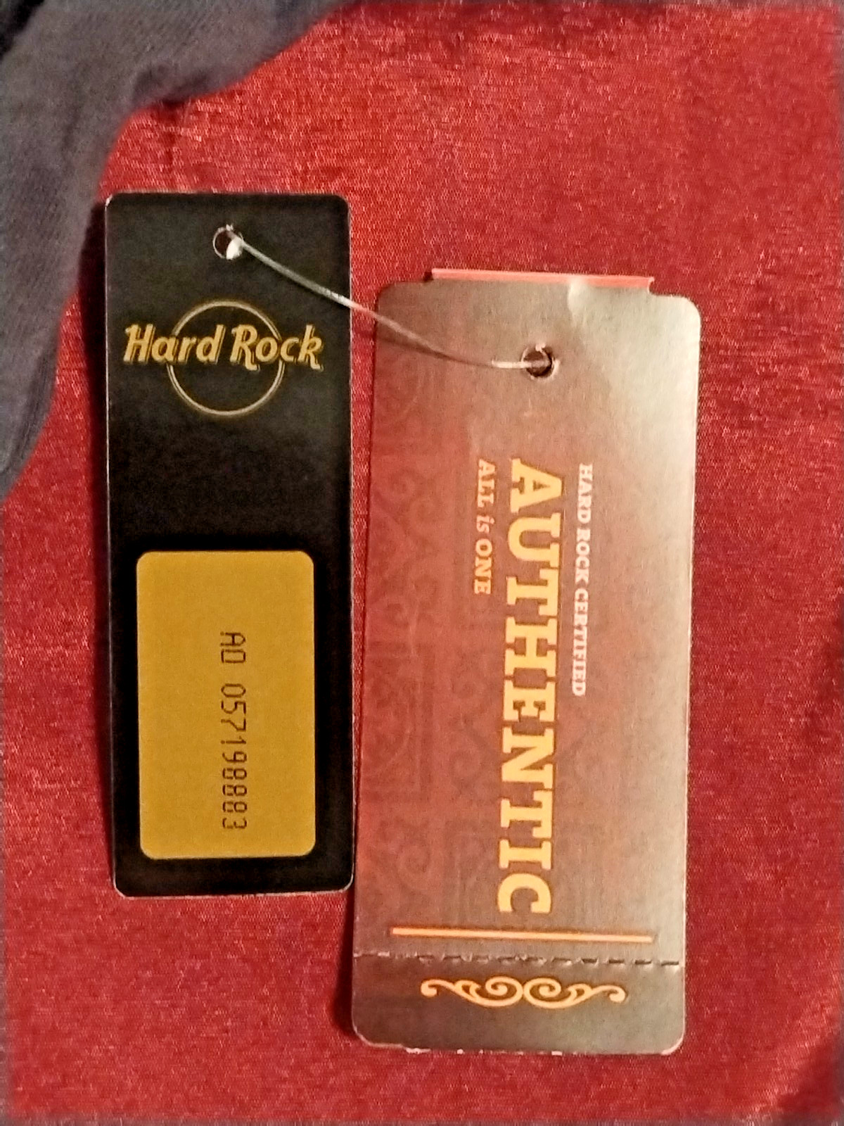 Hard Rock Cafe T-Shirt NASHVILLE Men's L Gray Distressed Wings Rare Find NWT gallery