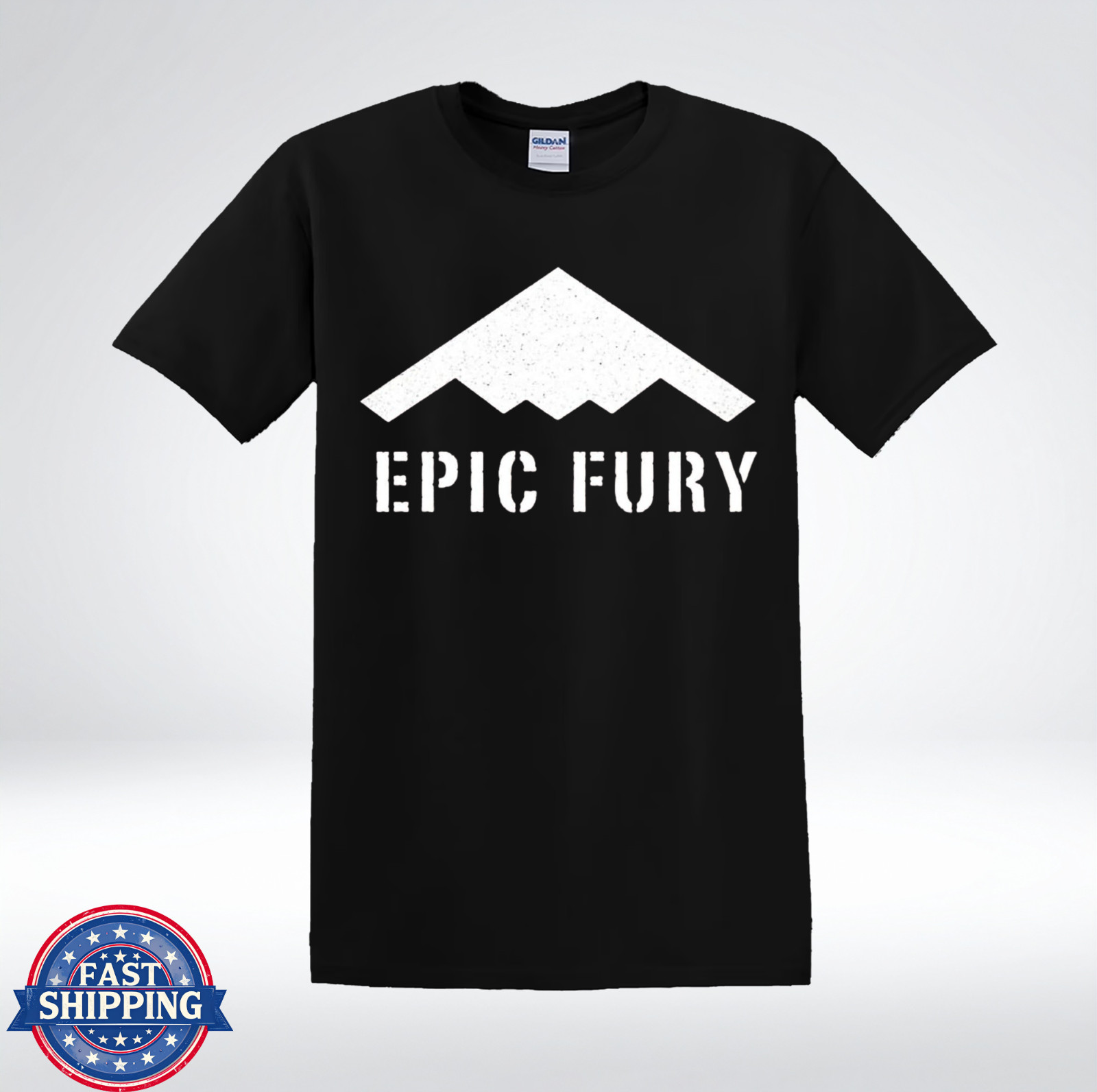 Epic Fury Stealth Bomber Inspired Shirt T-Shirt gallery