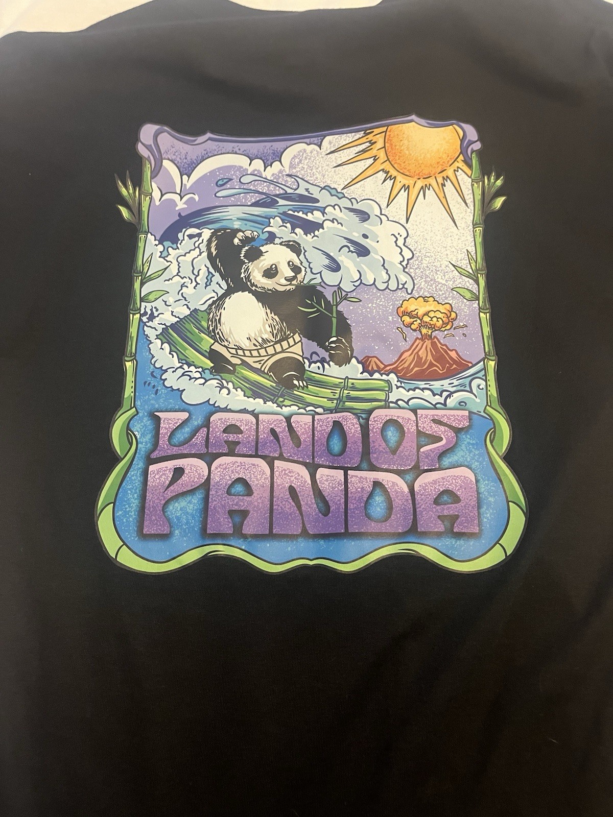 Land of Panda Concert shirt Graphic Print Black Mens L Crew Neck Short Sleeve gallery