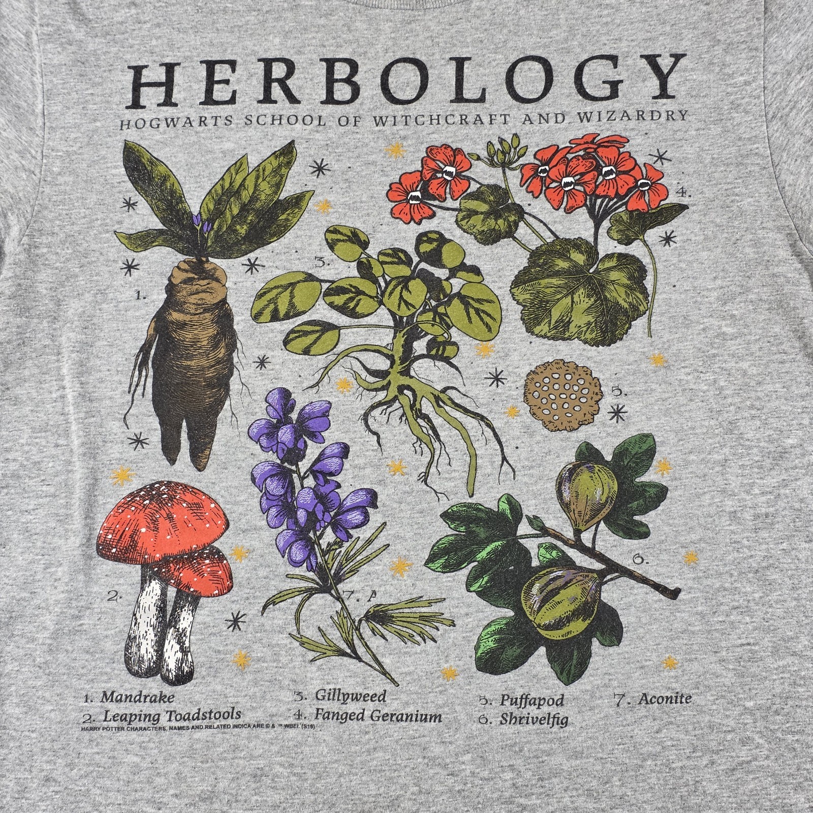 Harry Potter Herbology Shirt Men's Size Small (34/36) Gray gallery