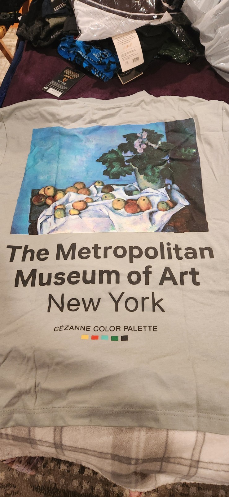2 Grey t-shirts (1 M 1L) from MOMA featuring Paul Cesane Painting gallery
