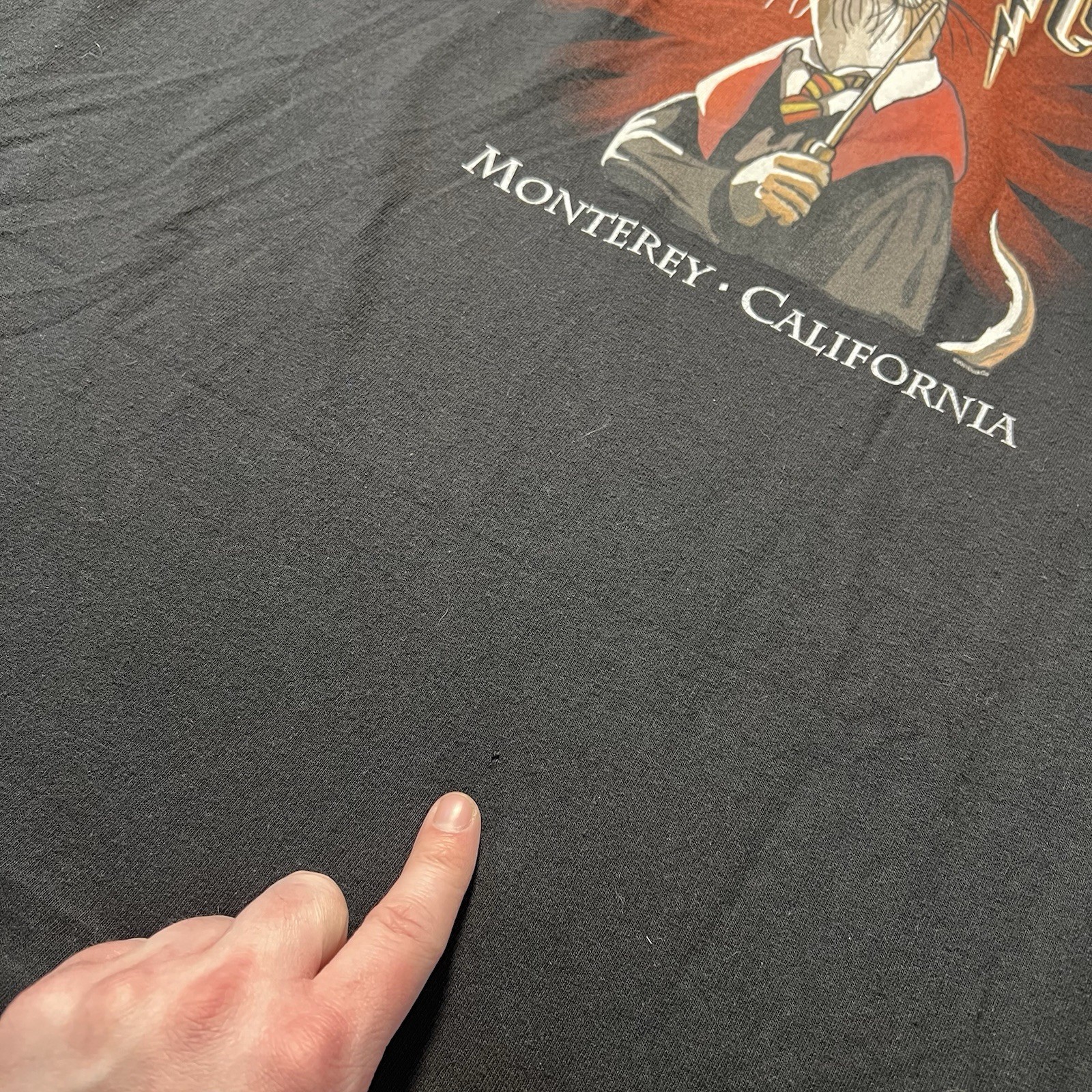 Vintage Y2K Hairy Otter Harry Potter Parody T Shirt XL Monterey CA Graphic gallery