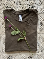 American Apparel Basic Brown T Shirt Scoop Neck Size XS