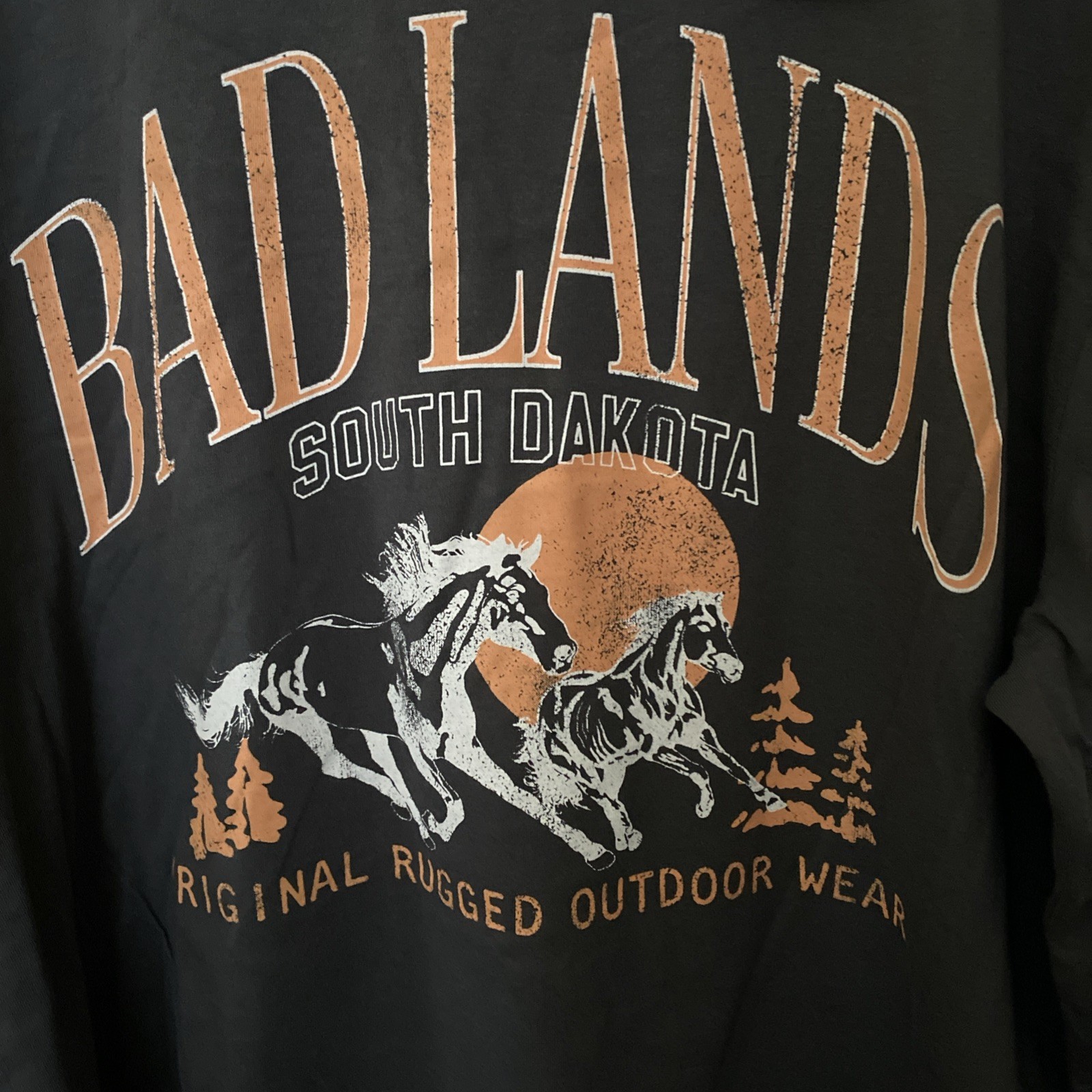 NWT Original Use Men's Bad Lands South Dakota Long Sleeve T-Shirt Grey Size L gallery