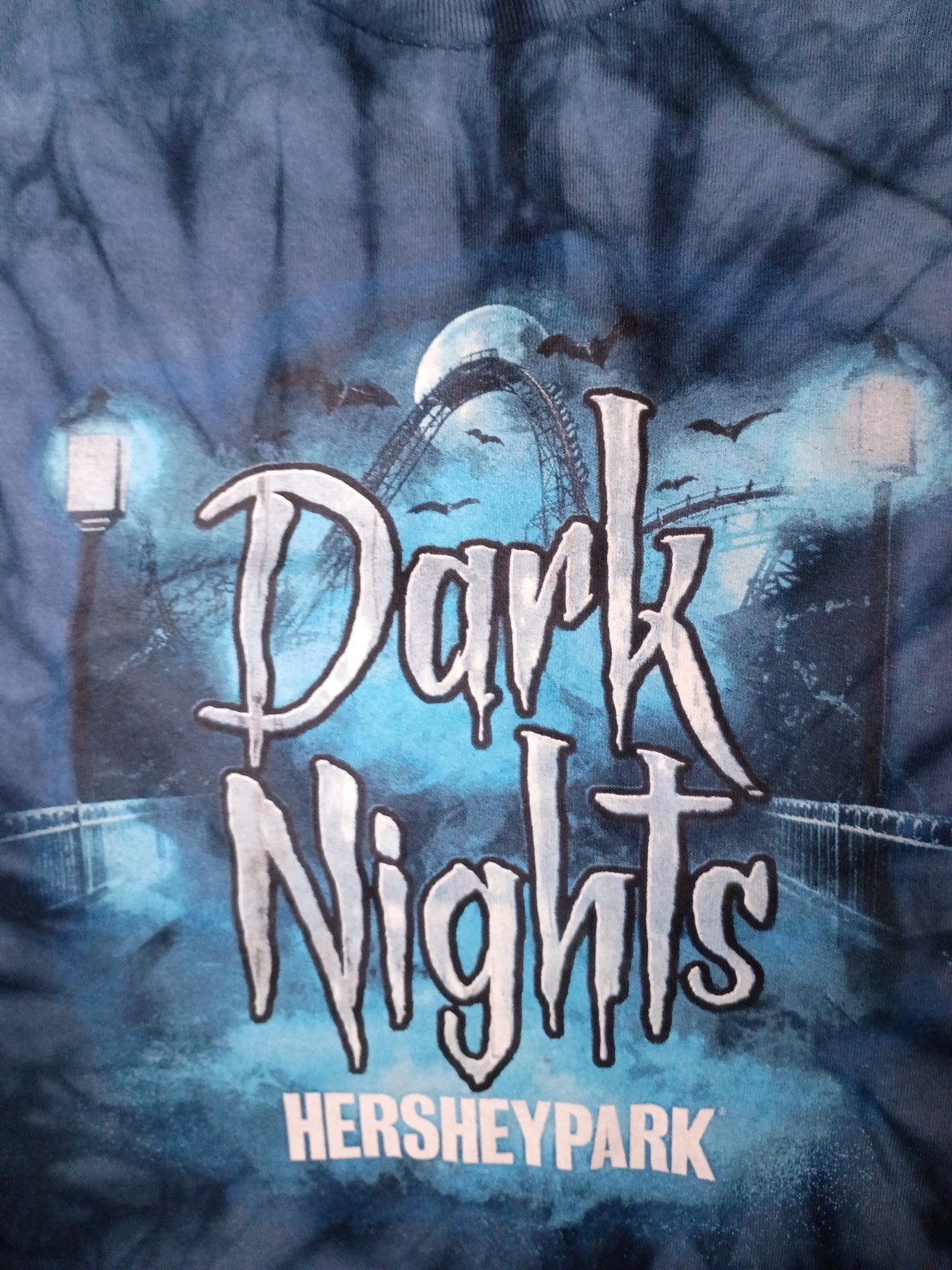 Dark Nights Hershey Park Blue Tie Dye Graphic Tee Shirt Short Sleeve Y2K gallery