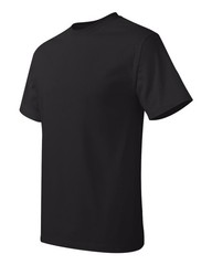 🔥 Hanes Unisex Authentic Short Sleeve Cotton & Blends T-Shirt 5250 Black 2XL