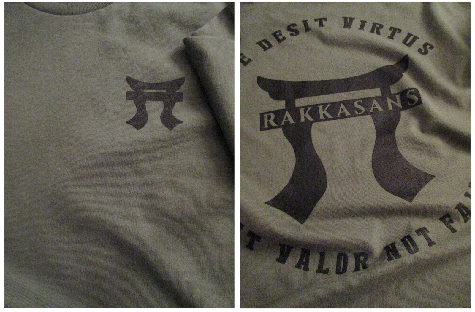 187th Infantry Regiment RAKKASANS 101st Airborne Div Silk-Screened T-Shirt 2X