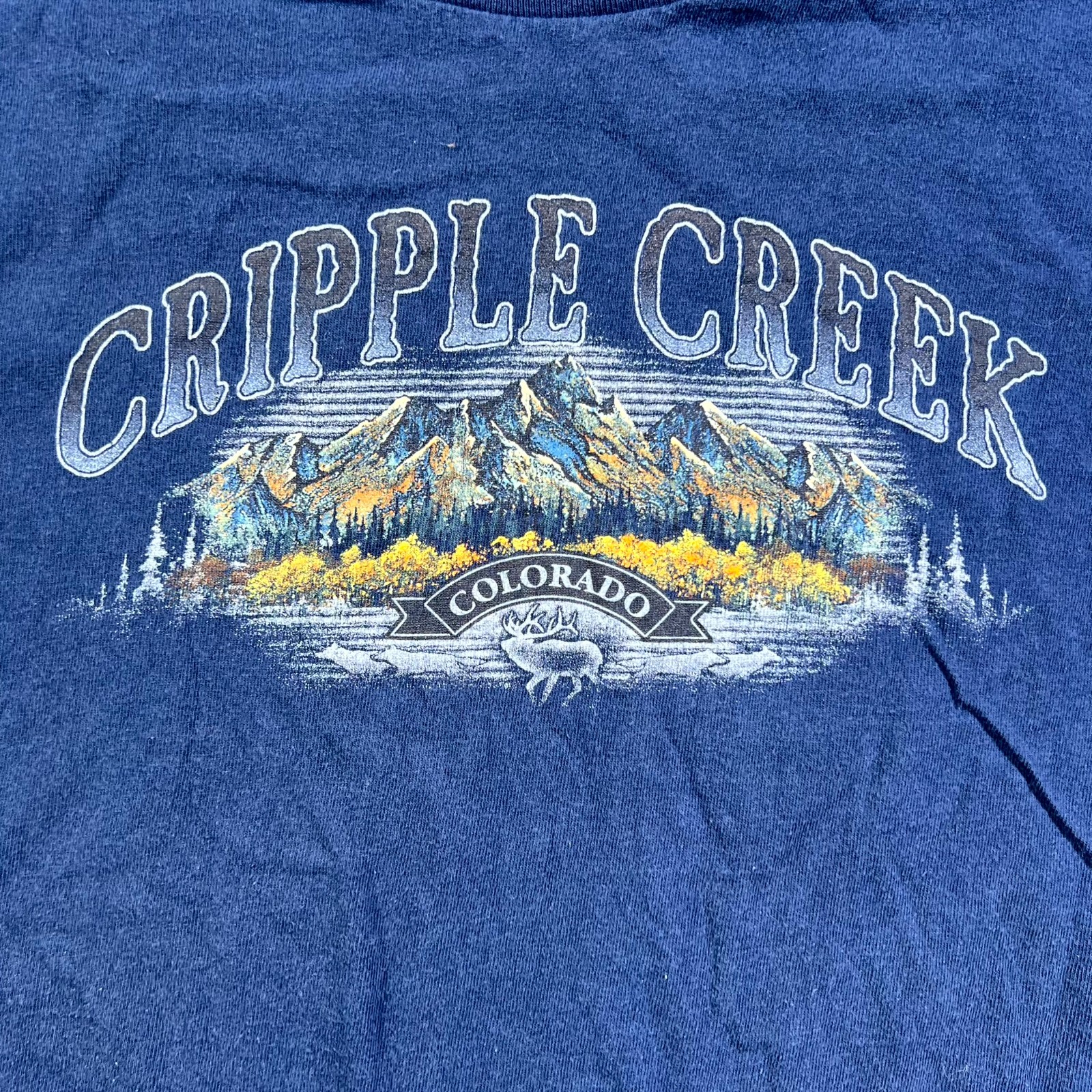 Delta Pro Weight T-Shirt Mens L Blue Cripple Creek Colorado Graphic Short Sleeve gallery