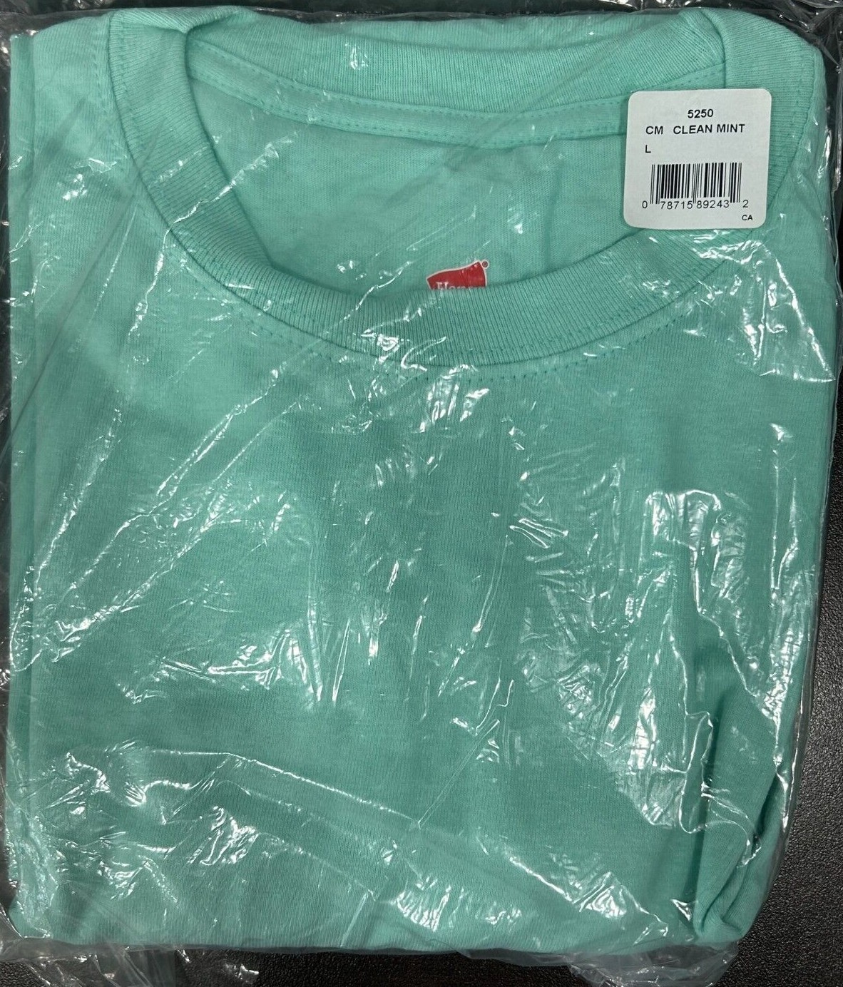 Hanes Tagless 100% Preshrunk Cotton Men's Size Large Tee Shirts Many Colors gallery