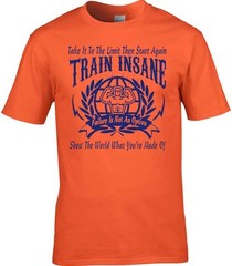 Motivational T-Shirt Gym Exercise Train Insane Keep Fit Work Out Muscle Man