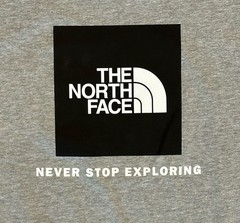 The North Face Men’s Core Box NSE Short-Sleeve T-Shirt, Pale Gray Heather, XL