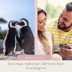 Wedding Anniversary Penguin Pebble Gift – Years Down, Forever to Go” Card & Happ