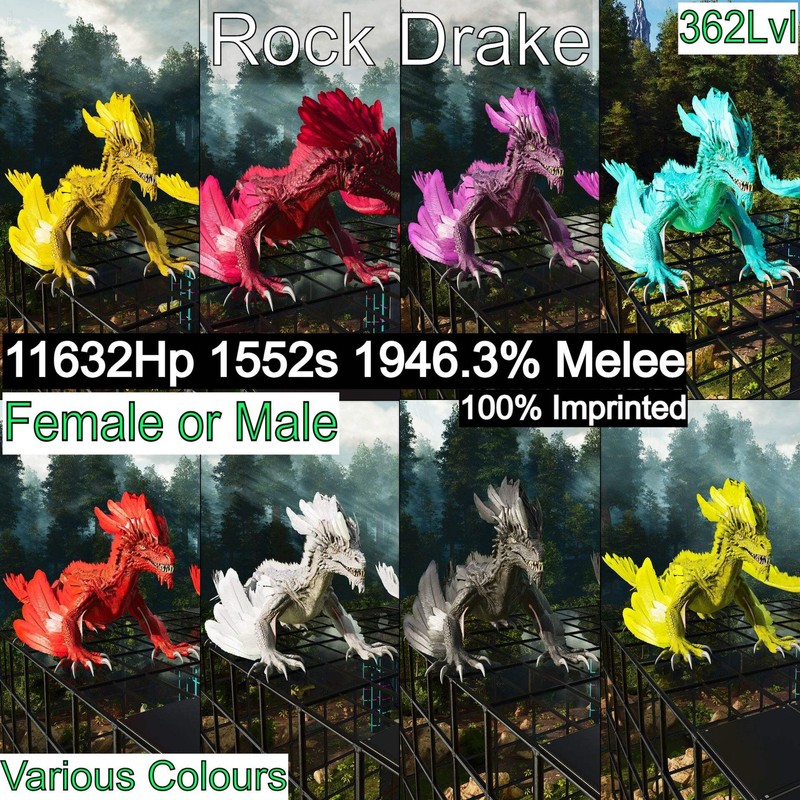 ASA PVE 🦖ARK Survival Ascended Rock Drake 1946%Melee Imprinted FINAL RELEASE
