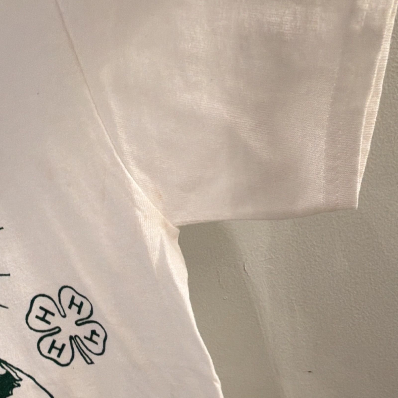 VTG 90s/00s 4-H Club T-shirt, Jerzees, Incubation & Embryology, EUC, Adult Sz SM gallery