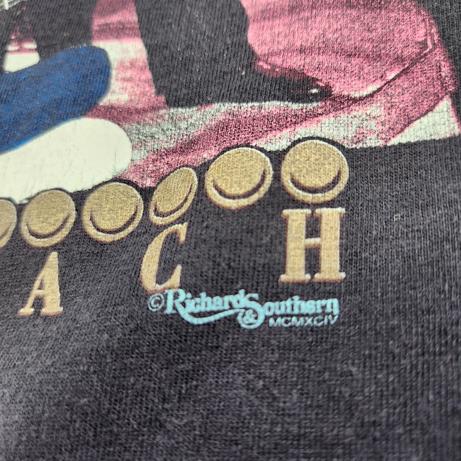 Vintage 90s Alabama Band Tee Shirt Adult Large Myrtle Beach Grill Black Tultex gallery