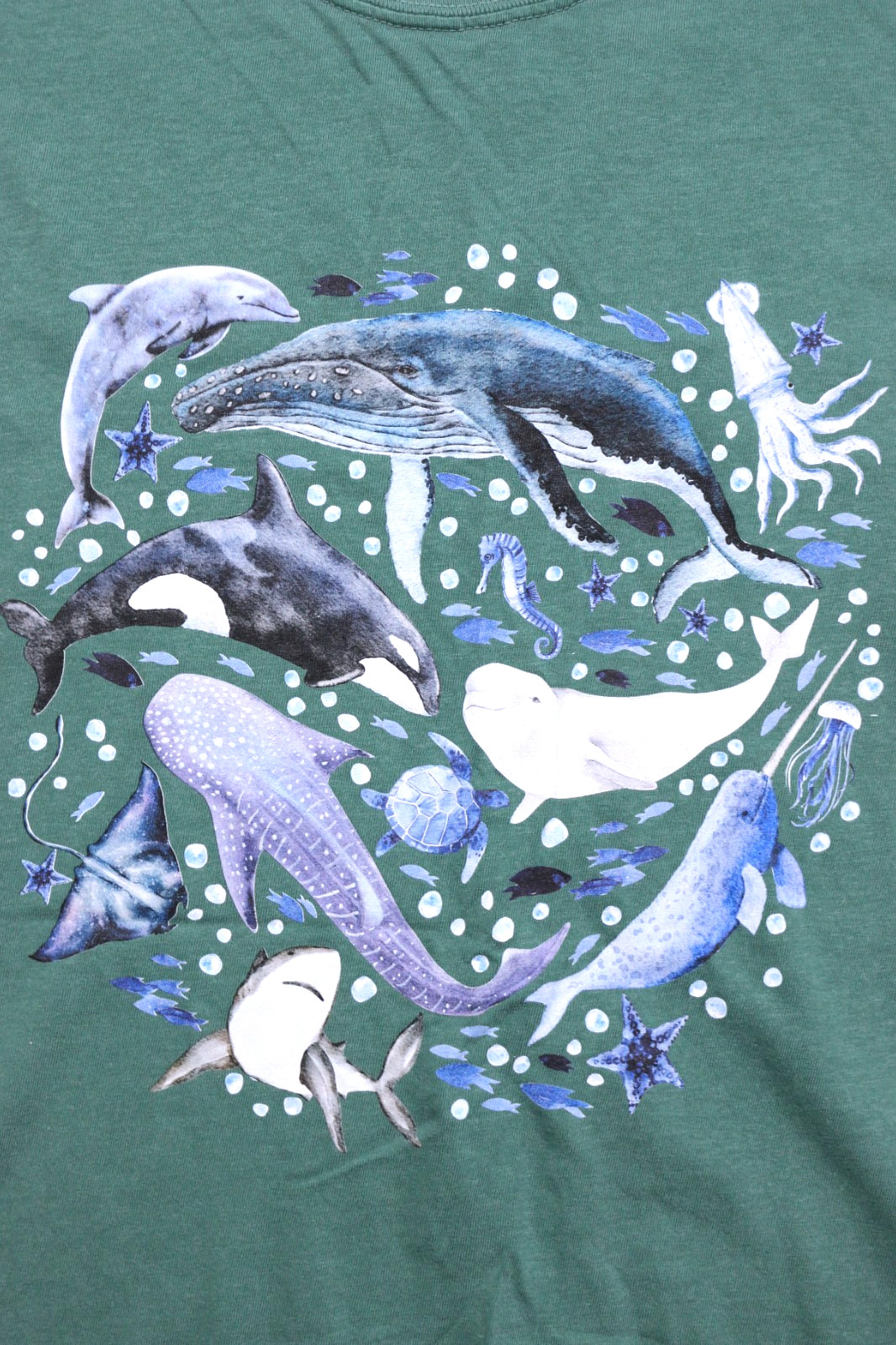 Comfort Colors Whales of the World Sea Life Aqua Green Graphic Tee 2XL Cotton gallery