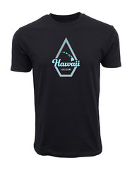 VOLCOM MENS HAWAII PREMIUM T SHIRT