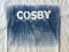 Vintage 1990s Gerry COSBY Single Stitch T Shirt on Fruit of the Loom Tag Mens XL