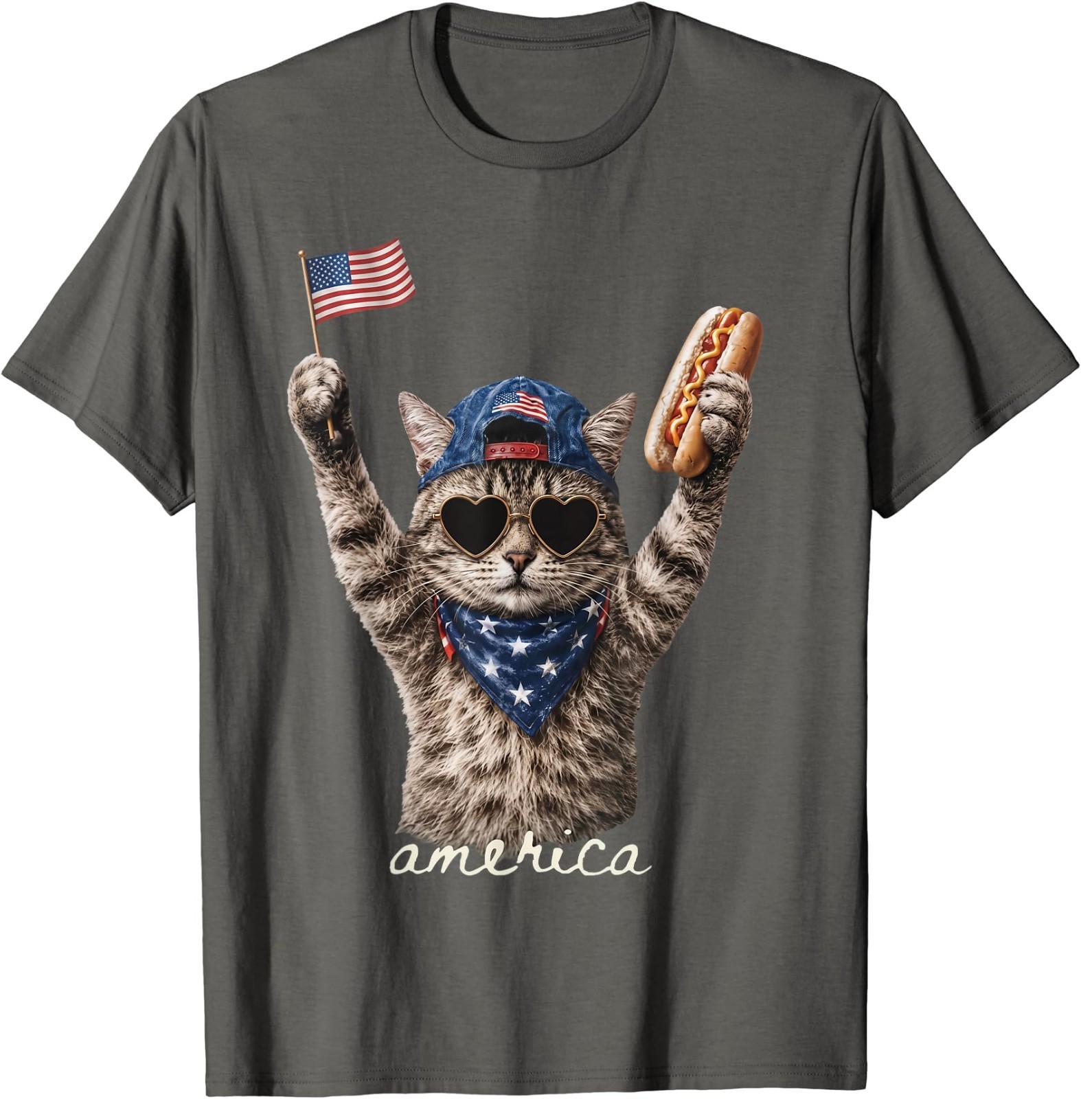 Retro Funny America Cat Hot Dog Lovers Patriotic US Flag T-Shirt gallery