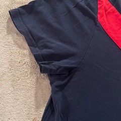 Unique Y2K Tommy Hilfiger Navy Tee Red Chevron Stripe Embroidered Lion Jersey 8
