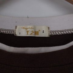 Wangzhichao Brown Layered Look Oversized Short Sleeve T-Shirt Mens XL