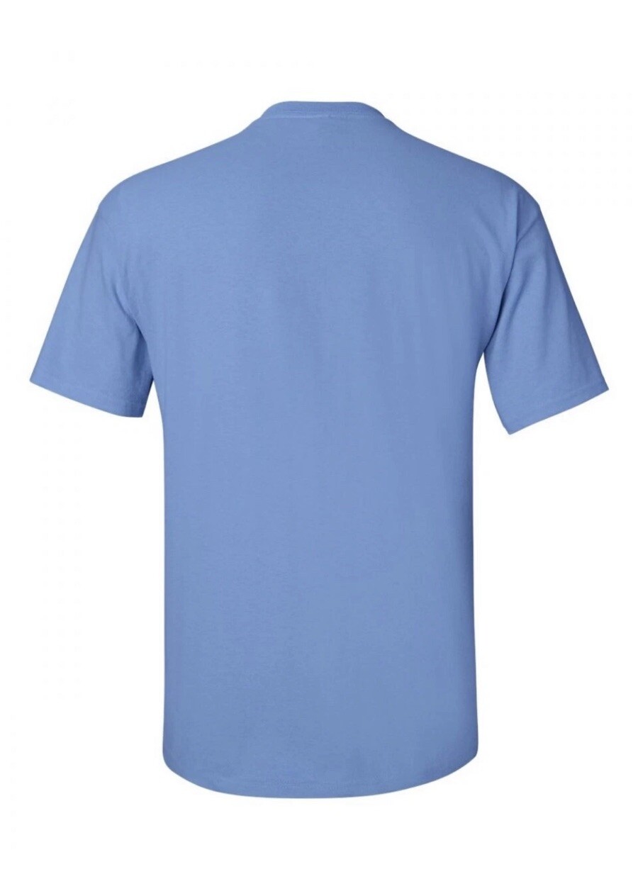 Gildan G2000/ Unisex Ultra Cotton/ Short Sleeve T-Shirt/ Carolina Blue/Medium gallery