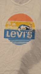 Levi’s Men’s Variable Shirts