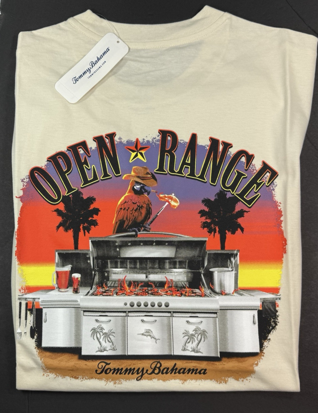 Tommy Bahama Men's Graphic T - Regular / Vanilla Ice / OPEN RANGE gallery