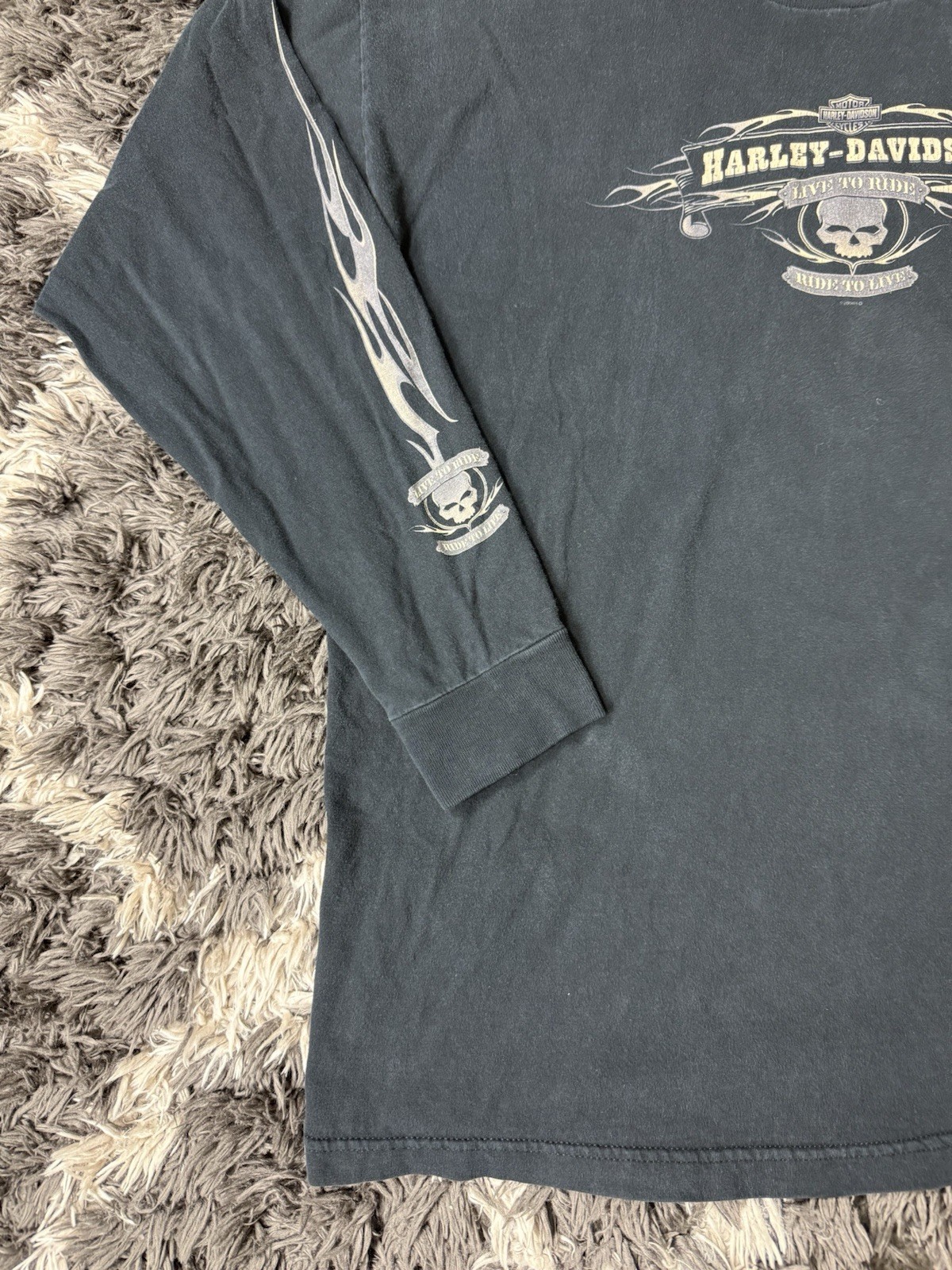 Vintage Harley Davidson T Shirt 2X Flame Naples Florida Lizard Skull Long Sleeve gallery