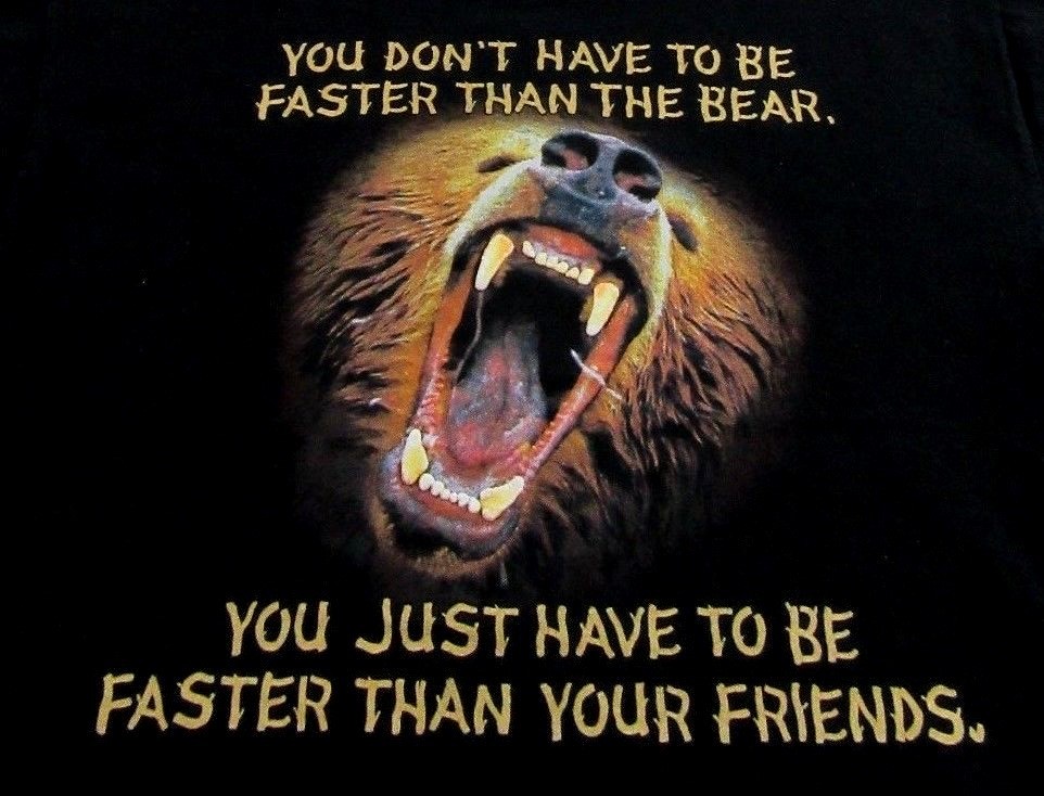Vintage Discovery Channel Angry Grizzly Bear Souvenir SS Black T Shirt Size L
