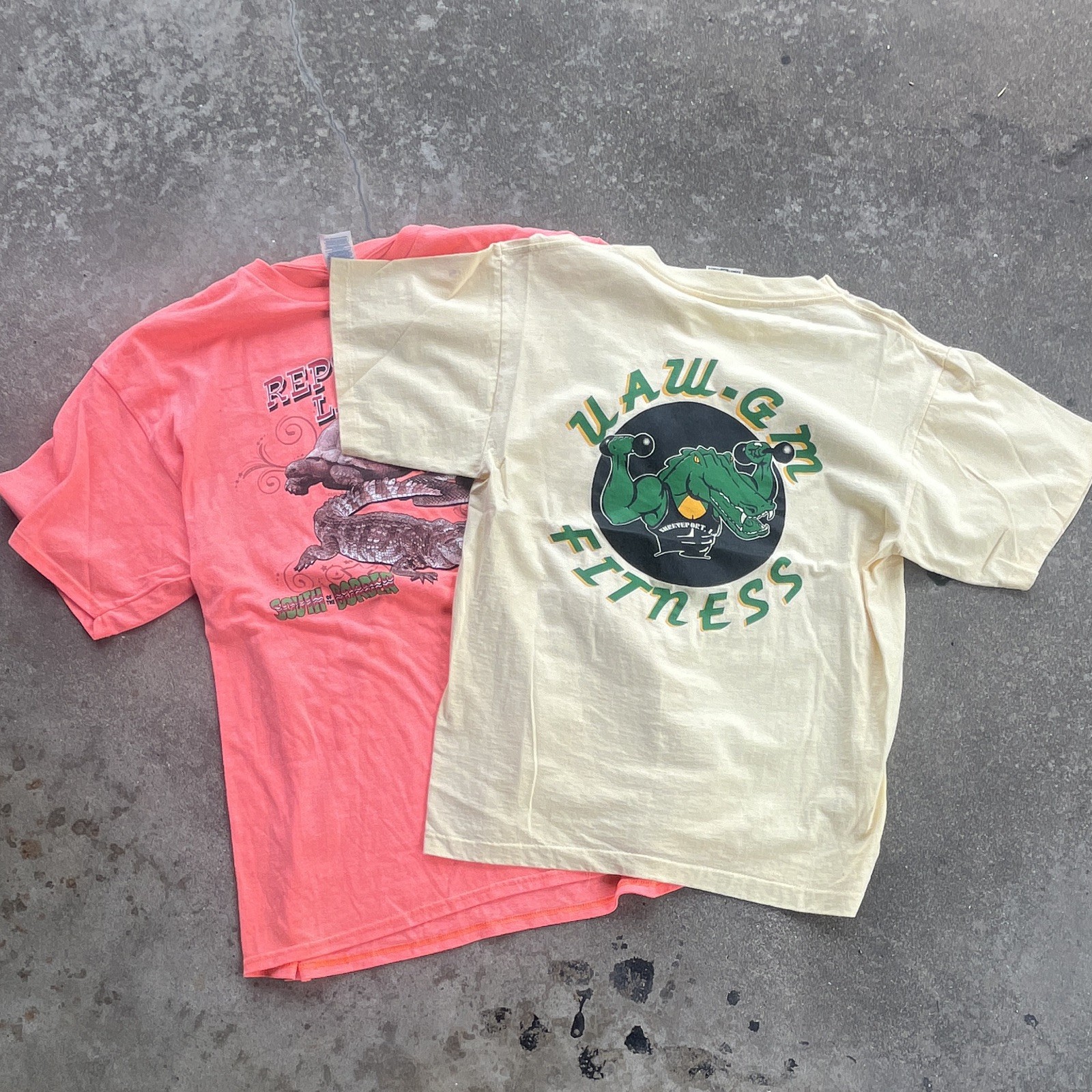 Vintage Weight Men's Graphic Tee Lot UAW-GM Fitness/Reptile M XL made in USA gallery