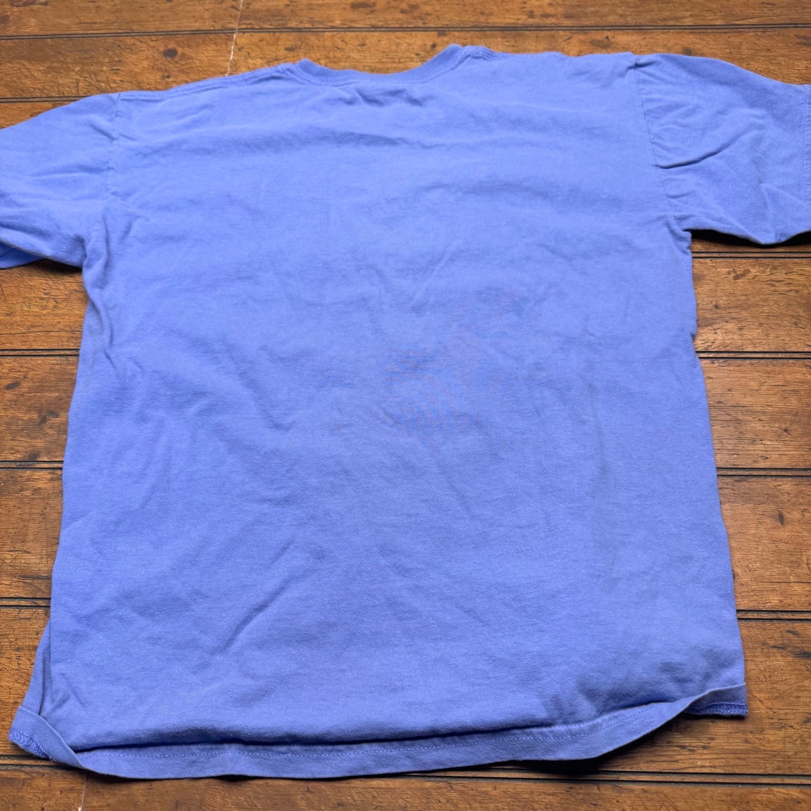 Atlanta Georgia Hummingbird Embroidered T-Shirt Periwinkle Blue Large Cotton gallery