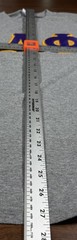 PI LAMBDA PHI Vintage LONG SLEEVE TEE Gray Size Large Greek Gear Frat Sorority